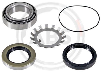 Wheel Bearing Kit A.B.S. 200124