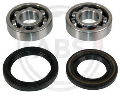 Wheel Bearing Kit A.B.S. 200164