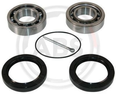 Wheel Bearing Kit A.B.S. 200505