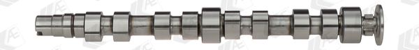 AE CAM925 Camshaft