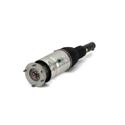 Air Suspension Strut Arnott AS-3069