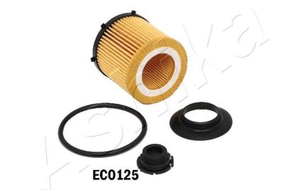 Oil Filter ASHIKA 10-ECO125