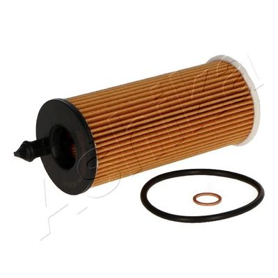 Oil Filter ASHIKA 10-ECO141