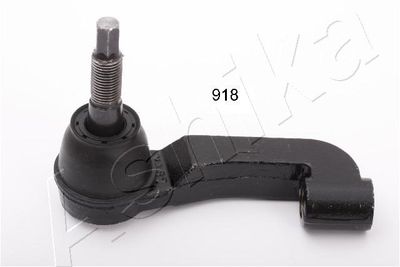 Tie Rod End ASHIKA 111-09-917L