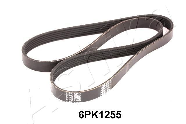 ASHIKA 112-6PK1255 V-Ribbed Belt