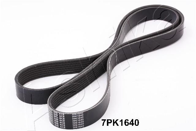 ASHIKA 112-7PK1640 V-Ribbed Belt