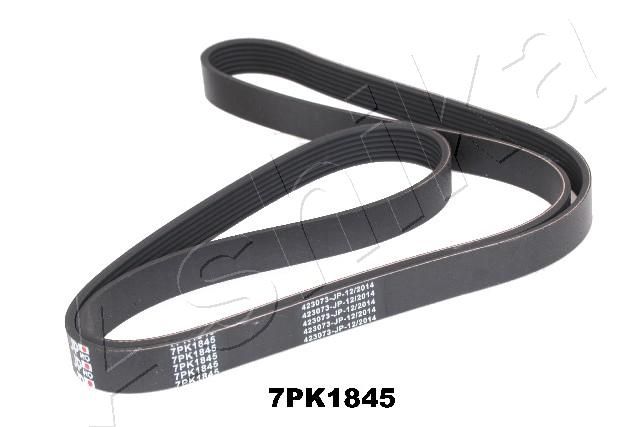 ASHIKA 112-7PK1845 V-Ribbed Belt