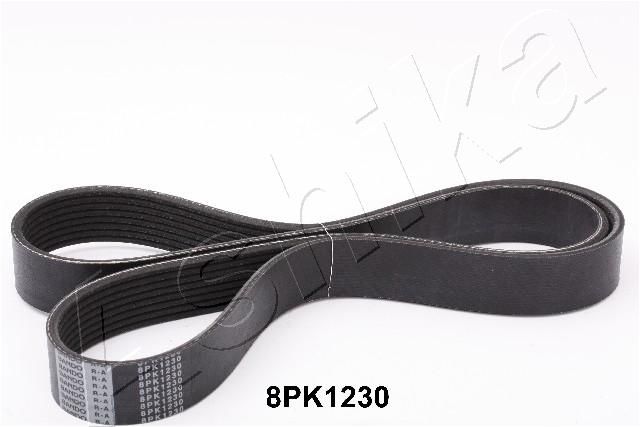 ASHIKA 112-8PK1230 V-Ribbed Belt