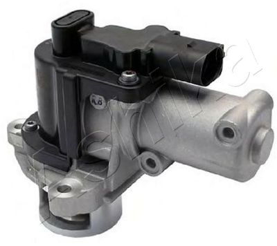 EGR Valve ASHIKA 150-0H-H08