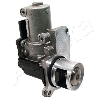 EGR Valve ASHIKA 150-00-0902