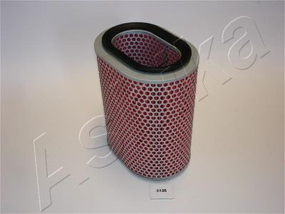 Air Filter ASHIKA 20-05-513