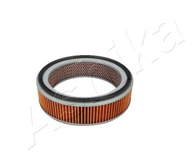 Air Filter ASHIKA 20-00-000