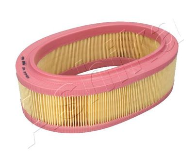 Air Filter ASHIKA 20-00-041