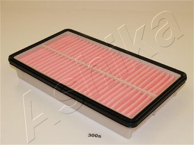 Air Filter ASHIKA 20-03-300