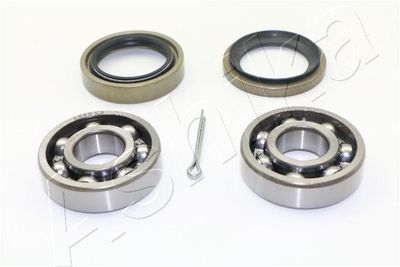 Wheel Bearing Kit ASHIKA 44-16004