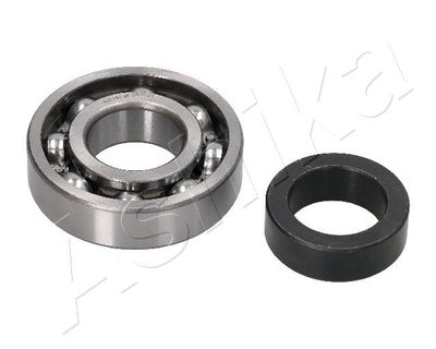 Wheel Bearing Kit ASHIKA 44-26010