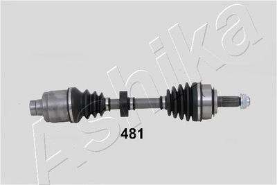 Drive Shaft ASHIKA 62-04-481