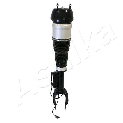 Air Suspension Strut ASHIKA MA-AS009