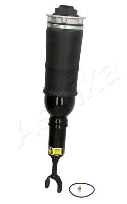 Air Suspension Strut ASHIKA MA-AS010