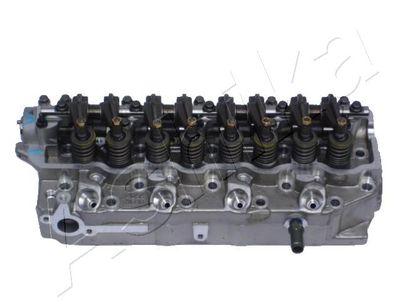 Cylinder Head ASHIKA MI007S