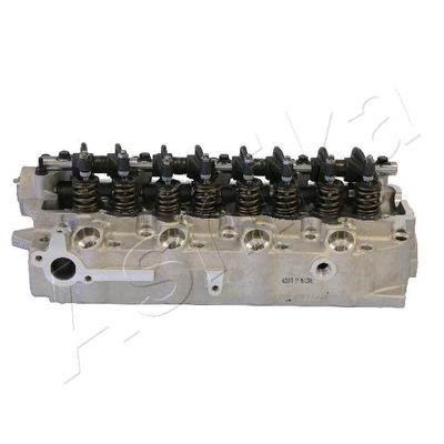 Cylinder Head ASHIKA MI019S