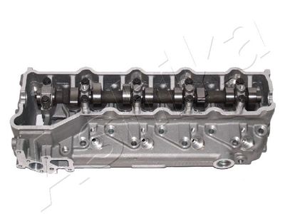 Cylinder Head ASHIKA MI025S