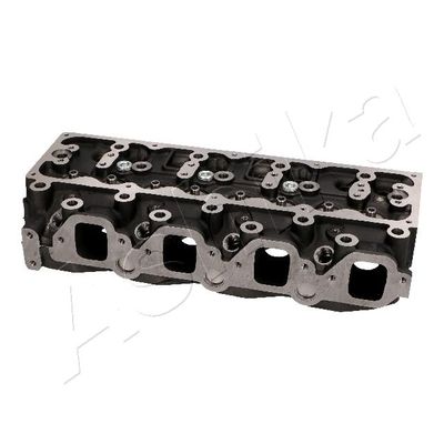 Cylinder Head ASHIKA NS007S