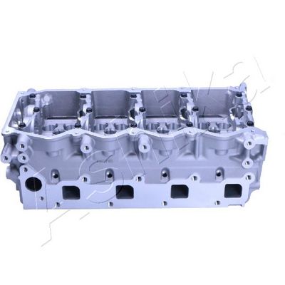 Cylinder Head ASHIKA NS015S