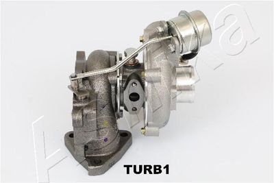 Charger, charging (supercharged/turbocharged) ASHIKA TURB1