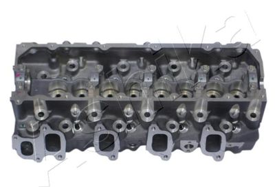 Cylinder Head ASHIKA TY005S