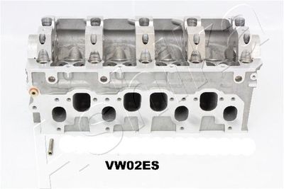 Cylinder Head ASHIKA VW02ES