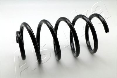 Suspension Spring ASHIKA ZCA2201C