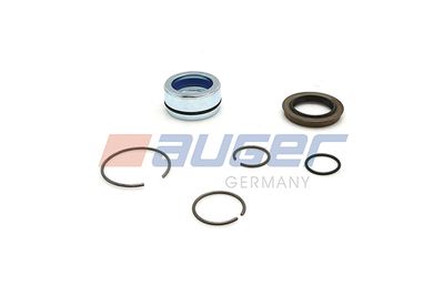 Repair Kit, tilt pump AUGER 55501