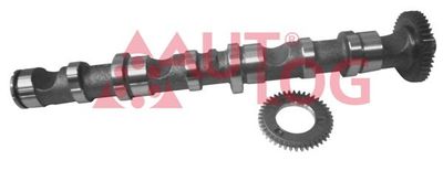 Camshaft AUTLOG NW5023