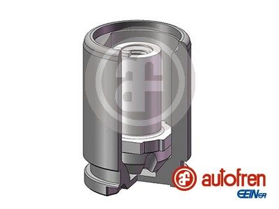 Piston, brake caliper AUTOFREN SEINSA D025602K