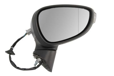 Exterior Mirror BLIC 5402-04-0304596P