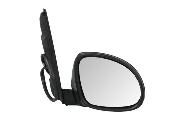 BLIC 5402-10-2002264P Exterior Mirror