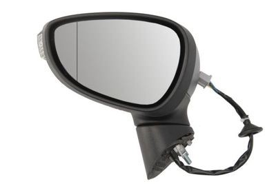 Exterior Mirror BLIC 5402-04-0304595P