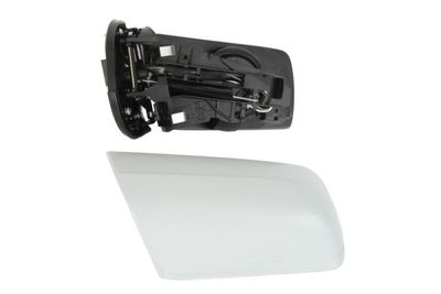 Exterior Mirror BLIC 5402-04-1125539