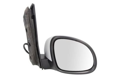 Exterior Mirror BLIC 5402-10-2002262P