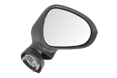 Exterior Mirror BLIC 5402-10-2002288P