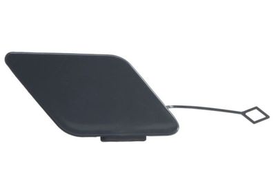 Bumper Cover, trailer hitch BLIC 5513-00-0067923GP