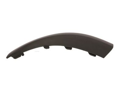 Trim/Protection Strip, bumper BLIC 5513-00-2533978P