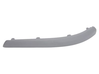 Trim/Protection Strip, bumper BLIC 5513-00-2533979P