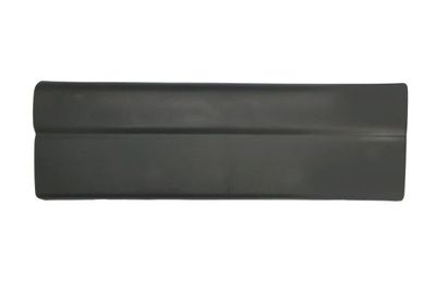 Trim/Protection Strip, door BLIC 5703-06-6089572P