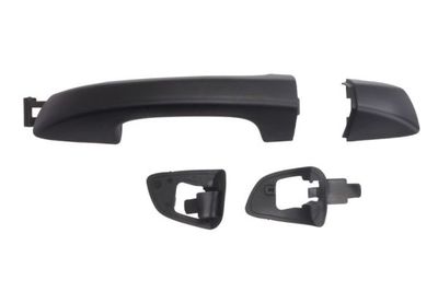 Exterior Door Handle BLIC 6010-43-009402P