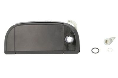 Exterior Door Handle BLIC 6010-01-013415P