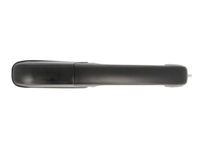 Exterior Door Handle BLIC 6010-01-060403P