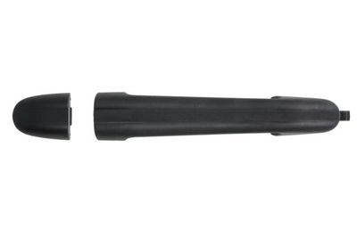 Exterior Door Handle BLIC 6010-02-024402P