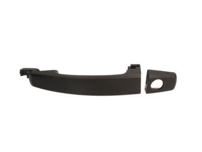 Exterior Door Handle BLIC 6010-04-048401P